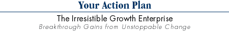 Your Action Plan - The Irresistible Growth Enterprise